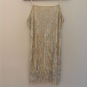 Silver Sequin Mini Dress | Cream Mesh Base